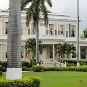 https://the-artist-place-new-kingston.greaterantilleshotels.net